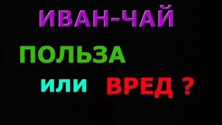 ИВАН-ЧАЙ : ПОЛЬЗА или ВРЕД?