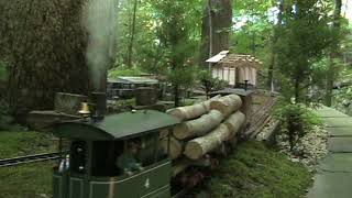 Jensen Steam Tram