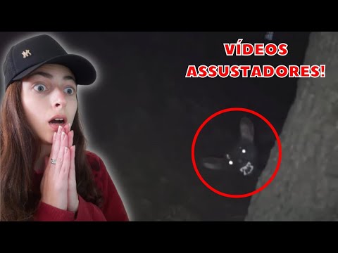 ESSES VÍDEOS ASSUSTADORES VÃO MEXER COM SUA MENTE! (não assista se tiver medo) - React Área Curiosa