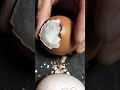 Raw Egg Peeling Marathon - Watch and listen to sleep well #asmr #funnyvideo #satisfying #eggpeeling