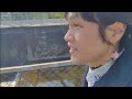 20250321_140100 小田原 非営利プライベート撮影