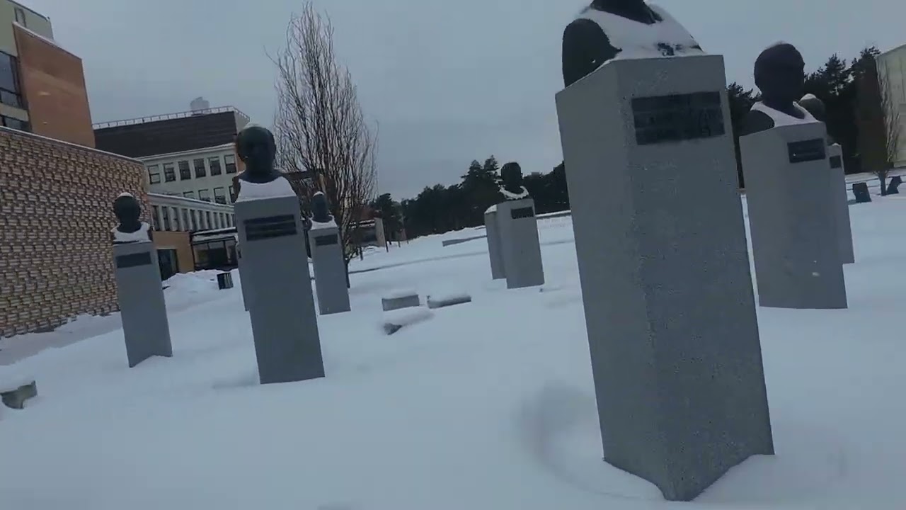 Winter Freestyle on DJI Neo