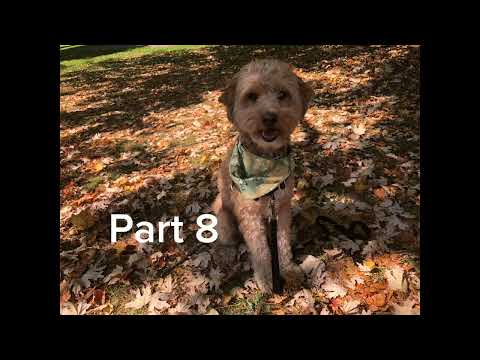 All My Love Official MEP 