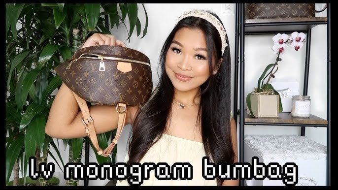 Louis Vuitton Bumbag Review - Worth It? — Bae Area Beauty