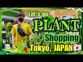 PLANT SHOPPING in TOKYO, JAPAN🇯🇵 | Let's shop for some INDOOR PLANTS! | Plus PLANT HAUL | VLOG 019