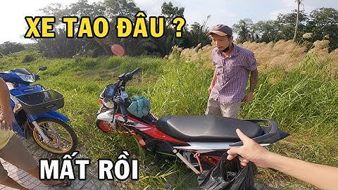 Thử giấu chiếc Sonic rồi trả lại xem phản ứng của ông chủ trại cá Betta