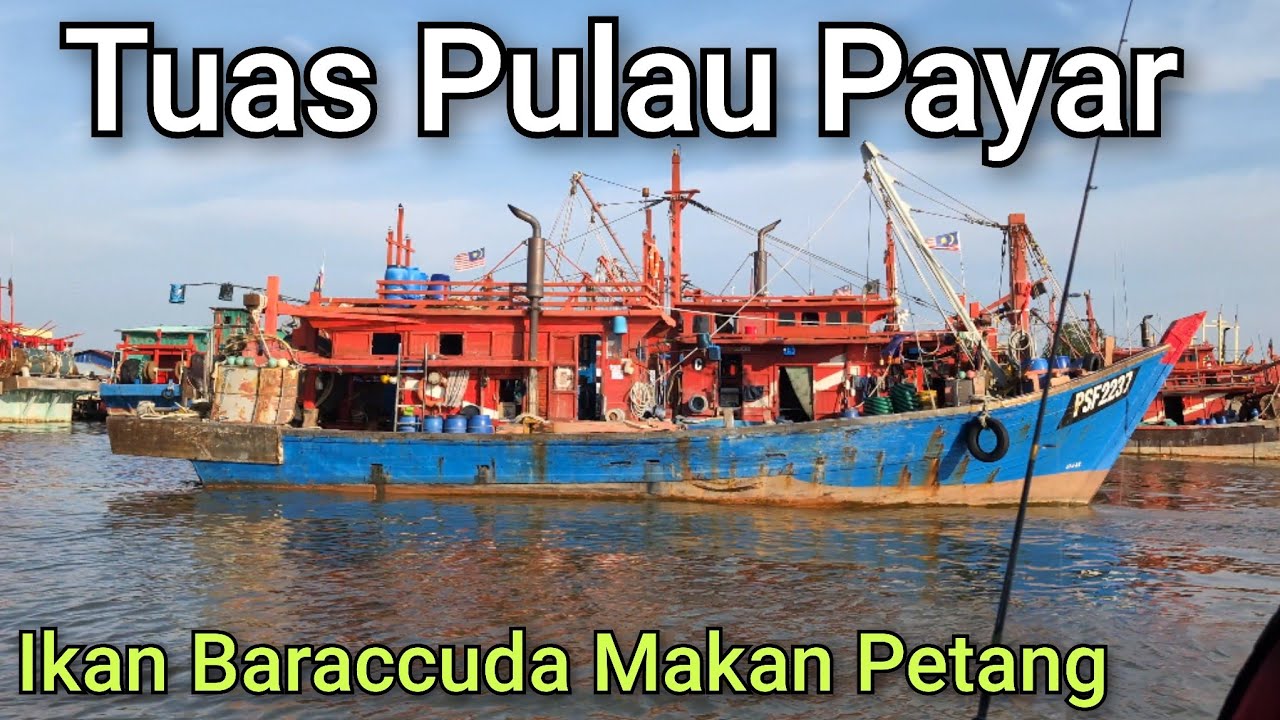 Tuas Pulau Payar - Gasak Ikan Alu2 Barakuda