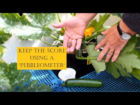 Grow Vegetables in
