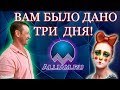 ПРИКОЛ С МФО КОМПАНИЯ ИДЁТ К ВАМ НА ВСТРЕЧУ | Как не платить кредит | Кузнецов | Аллиам