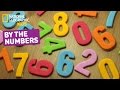 The Evolution and Uses of Numbers