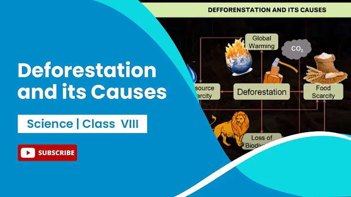 Conservation of Plants and Animals | Deforestation and its Causes | Class 8