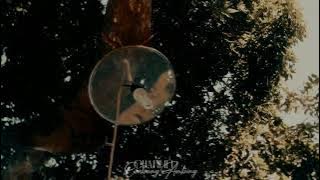 Cinematic Video Alam Desa || video estetik pedesaan