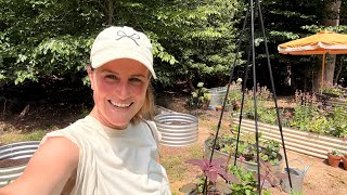 Late June In The Gardens | The Reckless Garden
