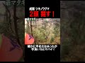 成獣ツキノワグマ2頭斃す!#shorts