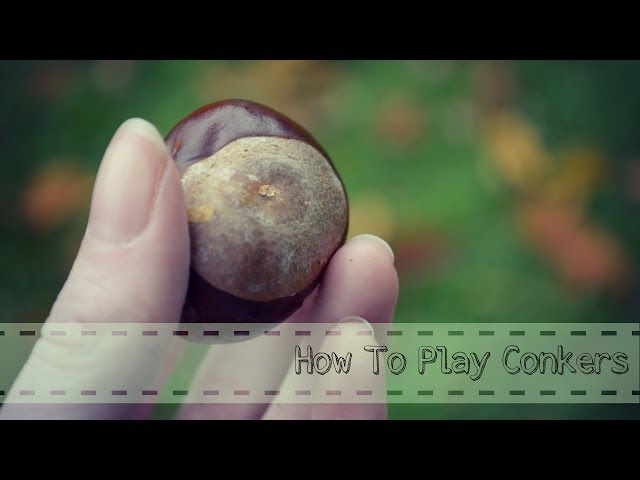 How To Play Conkers! class=