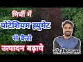 मिर्ची में "पोटेशियम ह्युमेट" के फ़ायदे 🔥What is Pottasium Humate // Benefits of Pottasium Humate//