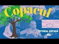 Copacul (Aurelian Andreescu) | Tutorial chitară #22