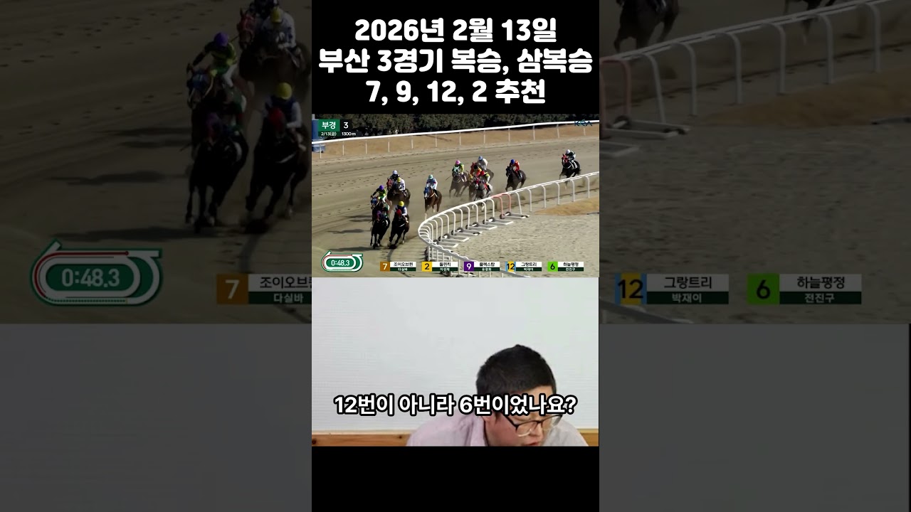 2월13일 금 부산 삼경주 복승 삼복승 적중 복8.8 삼복17.9