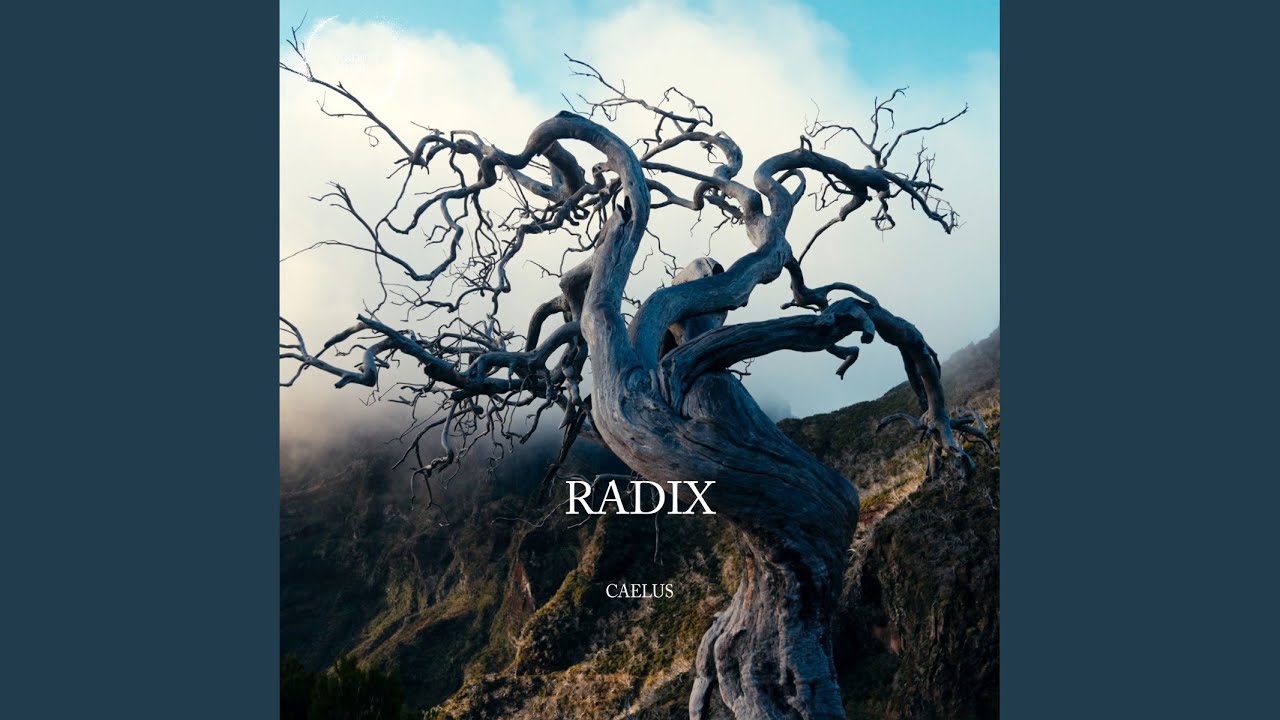Watch Radix on YouTube Watch Radix on YouTube