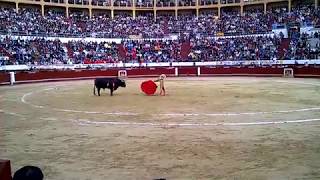 El Juli, Cornada Bogotá 18 Febrero 2018, Toro De B. Caicedo