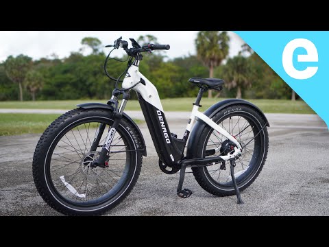 Denago Fat Tire e-bike review: 28 MPH adventure e-bike