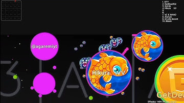 Blob.io // Macro Mode Moments