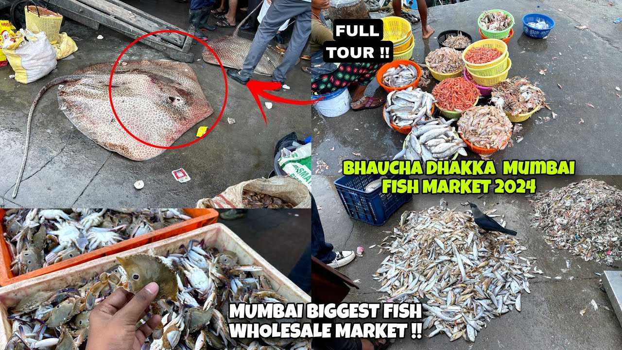 Bhaucha Dhakka Machhi Market Bhaucha Dhakka Wholesale Fish Market