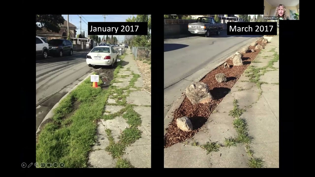 From Ecological Desert to Wildlife Habitat