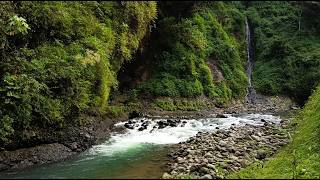 Instant Sleep Aid | Gentle Stream and Woodland Sounds for Peaceful Nights