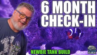 6 Month CHECK-IN - What We've Learned As A New Reef Aquarium Hobbyist - Newbie Tank Build