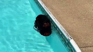 iGarden Obsidian Pool Cleaner Review – Can AI Really Clean Your Whole Pool?