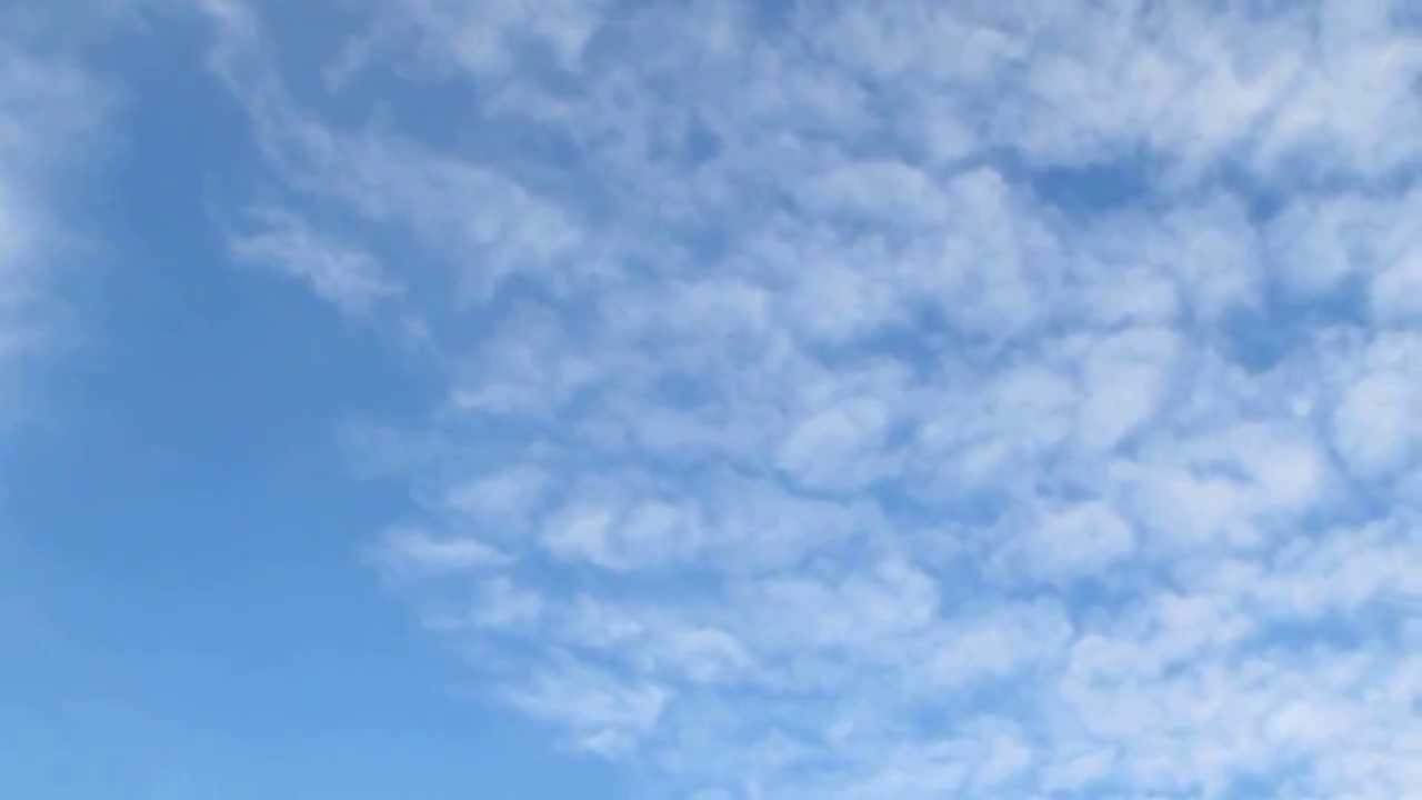 JC Zankl GAUI 550 Autos