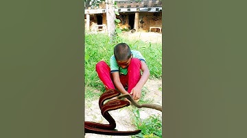 इच्छाधारी नाग की कहानी 🐍🙏 #shorts #youtubeshorts #snake #naagin #nagin #mahadev #shiv #maa