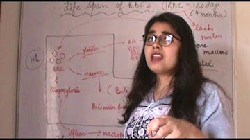 Csir Net Life Science Lectures Module Wise Chapter Three Part Four |Life Span of RBC