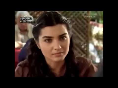 ساموزين عادى