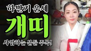 [하반기 개띠운세] 종합운세 띠별운세 사주 신점 경남점집 고성점집 용한무당 연애 재회 매매 금전 관재 사업 …
