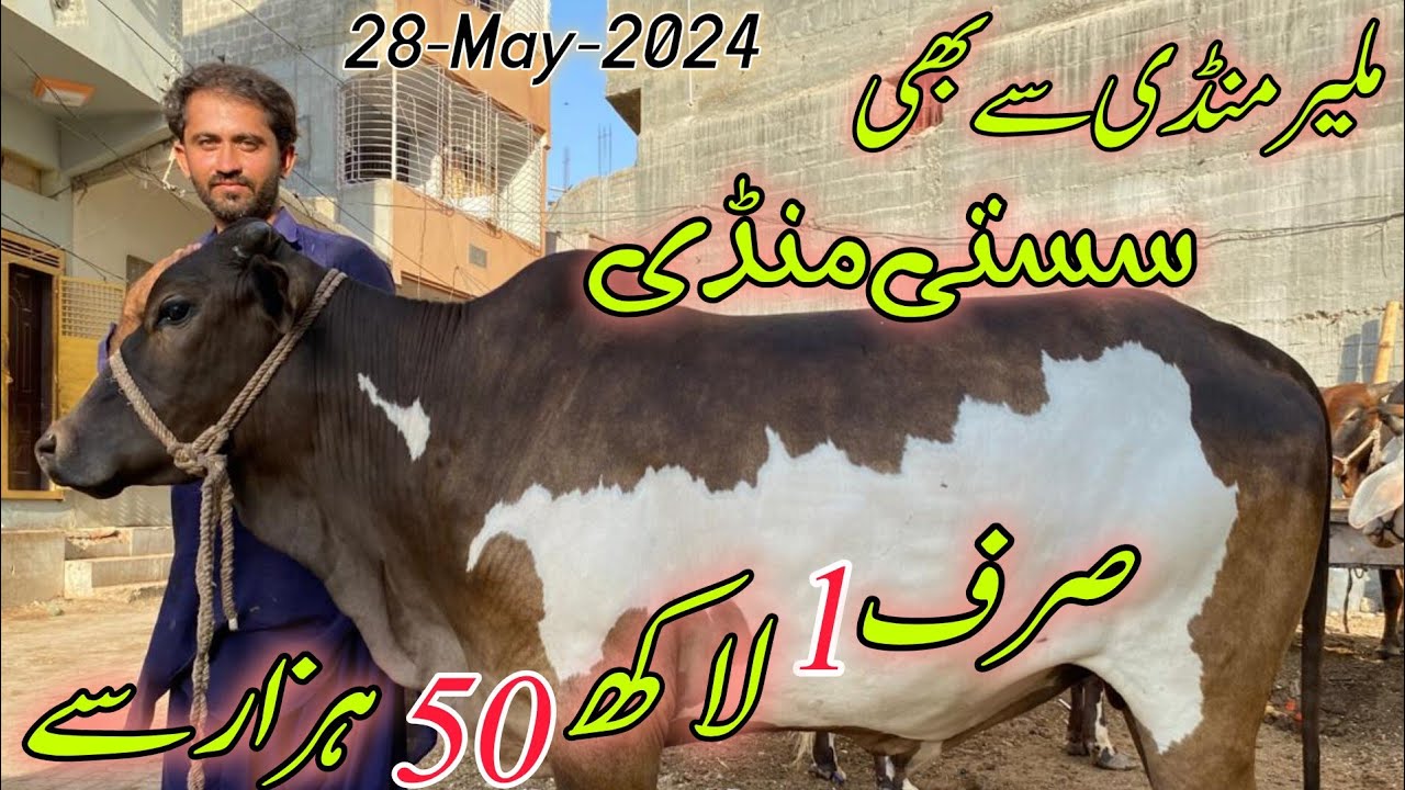 Malir Mandi Se Bhe Sasti Mandi 28 May 2024 Sirf 1 Lakh 50 Hazar Se malir-mandi-se-bhe-sasti-mandi-28-may-2024-sirf-1-lakh-50-hazar-se