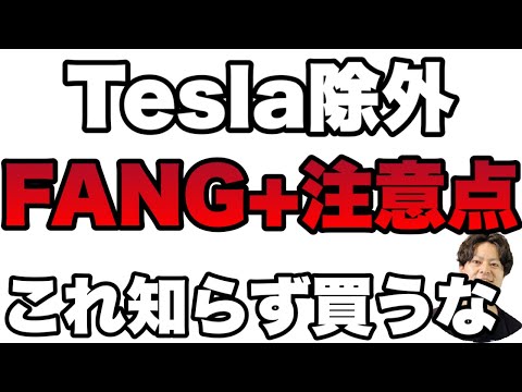 【Tesla除外】FANG+の構成銘柄入れ替えに見える必ず知っておくべき注意点