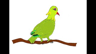 Names Of Birds From The The Mischievous Bat Story