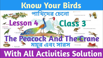 Know your birds, class 3 English lesson 4, ময়ূর এবং সারস, the peacock and the crane