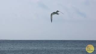 Module 3 Slideshow