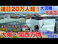 【駆け込み万博】連日20万人超の大阪・関西万博に突撃！大屋根リングからの風景は圧巻でした。EXPO2025