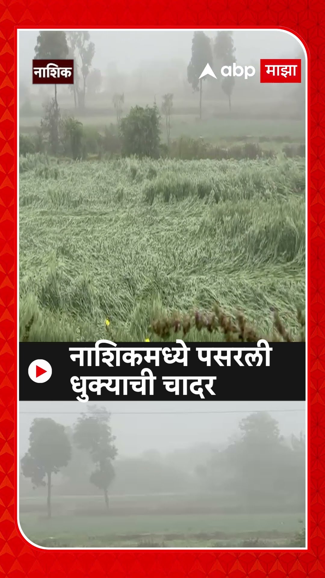 Nashik Cold :  नाशिकमध्ये पसरली धुक्याची चादर