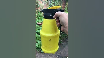 Trị rệp bằng dầu ăn và nước rửa chén #nongdanviet83