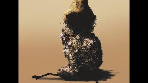 D7 - Complete Ravaging (Anosognosia)