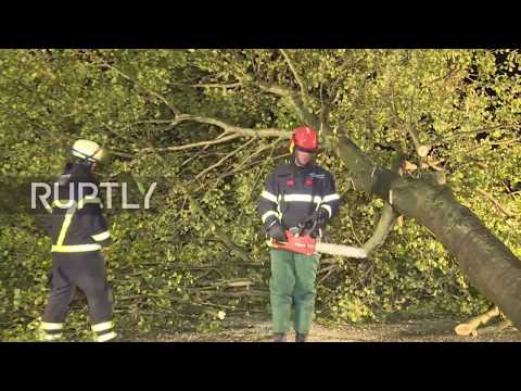 Germany: Trees uprooted, car smashed and flooding as Storm Herwart hits Hamburg