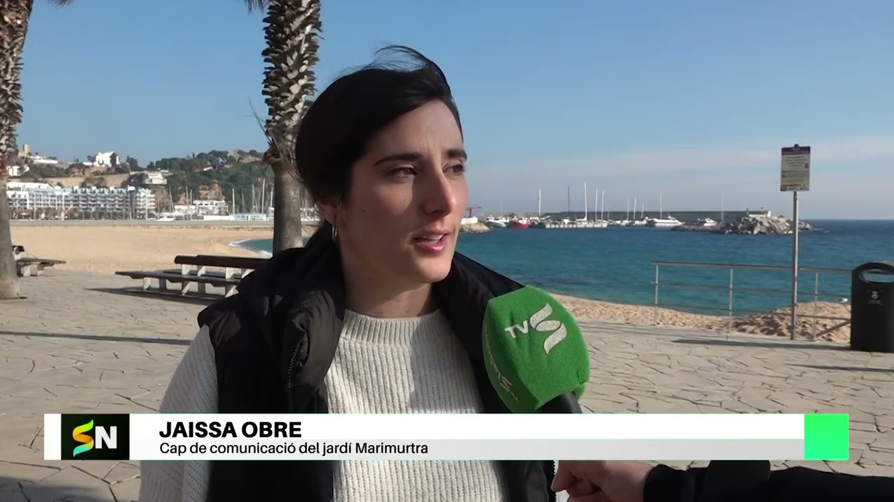 Marimurtra tanca un any excepcional i consolida el seu atractiu més enllà de l’estiu