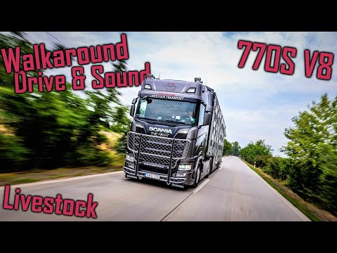 WALKAROUND & DRIVE: