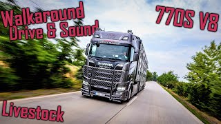 WALKAROUND & DRIVE: New Scania 770S V8 // *Stock Sound* *KőKavics Trans Kft.*