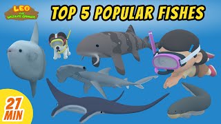 Top 5 Popular Fishes Minisode Compilation  Leo the Wildlife Ranger | Animation | For Kids